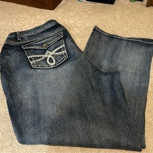 EUC Cato’s premium collection, Blue jeans, size 20W petite